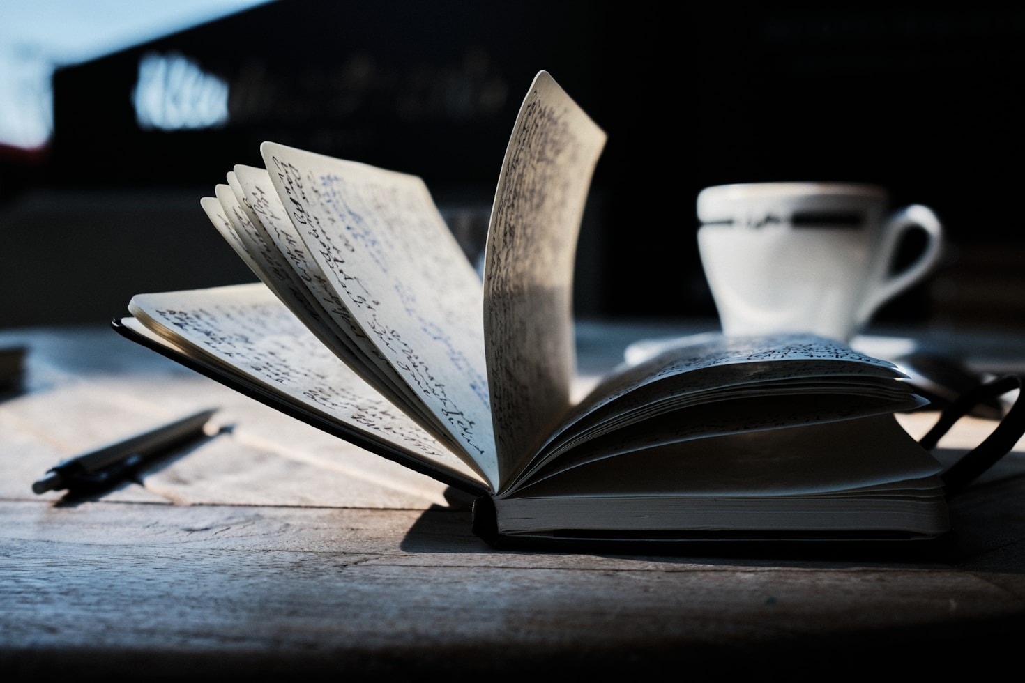 Top 5 Must-Read Books by Wendy Holley